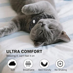 Airtag Cat Collar Breakaway, Cat Collar - Image 4