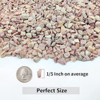 2LB Succulent and Cactus Gravel Pebbles, 1/5 Inch Natural Decorative Polished - Image 2