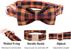 Elegant little tail Dog Collar - Image 4