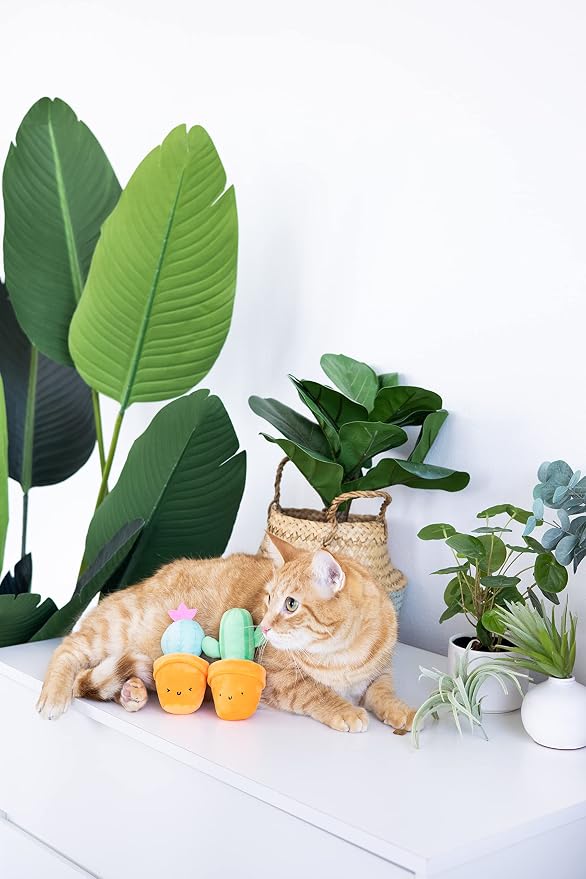 Pearhead Prickly Plants Cat Toy Set, Cute Catnip Toys, Plush Cactus Interactive - Image 3