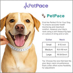 V3.0 Dog Health Monitor – AI Health Collar - Image 8