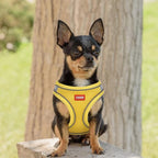 YIMEIS Dog Harness and Leash Set, No Pull Soft Mesh Pet Harness, Reflective - Image 2