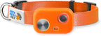 MS-5 Automatic Pet Door Collar by High Tech Pet, Genuine Dog Collar by HighTechPet