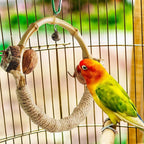 Circle Bird Swing with Bell, Bamboo Parakeet Rope Perches - Image 2