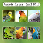 No Mess Bird Feeder for Cage, Automatic Acrylic Bird Feeder Seed Catcher Tray - Image 4