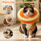 Kitten Cute Recovery Collar Soft Cat Cone Collar After Surgery to Stop Licking - Image 6