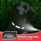 PETCARE Reflective Dog Collar - Image 5