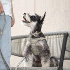Beirui Cute Small Dog Harness Collar and Leash Set - Image 4