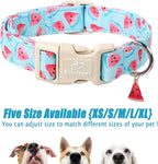 Adjustable Summer Dog Collar, Cute Watermelon Dog Collars - Image 6