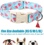 Adjustable Summer Dog Collar, Cute Watermelon Dog Collars - Image 6