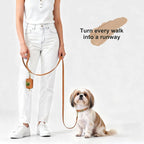 Didog Soft PU Leather Dog Collar, Stylish Quick Released Dog Collars - Image 4