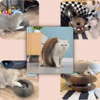 Cat Toy, Magic Organ Cat Scratch Board, Compact Cats Accordion Toy, Interactive - Image 6