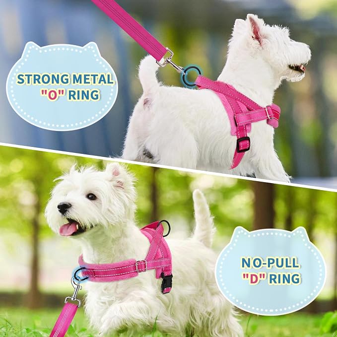 SlowTon No Pull Small Dog Harness and Leash Set, Puppy Soft Vest Harness Neck & - Image 4