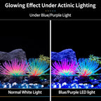 Uniclife Aquarium Imitative Rainbow and Iridescent Blue Sea Urchin Balls - Image 3