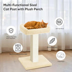 AGYM Cat Scratching Post, 32”Cat Scratcher - Image 6