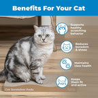 Best Pet Supplies Catify Cat Scratcher, Fun Interactive Scratchers, Claw Safe - Image 5