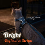 Dooradar Cat Harness and Leash Set, Escape Proof Safe Adjustable Kitten Vest - Image 5