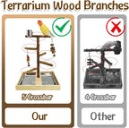 Tfwadmx Bird Perch Natural Wood Stand Parakeet Playground Toy Parrot Play Stand - Image 4