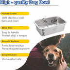 PEDAY Automatic Dog Waterer for Large & X-Large Dogs, Human Grade 18/8 - Image 6