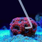 SLSON Aquarium Coral Feeder Waste Cleaner - Image 7