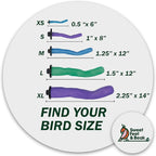 Sweet Feet and Beak Safety Pumice Perch - Image 3