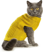 Stretchy Cat Sweater - Image 4