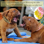 TEEMERRYCA Pink Leather Gold Spiked Studded Dog Collar - Image 4