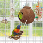 For Parakeet, Love Birds, Parrots - Image 2