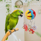 Hypeety Pet Parrot Toy Plastic Colorful Birds Ball - Image 7