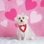 ADOGGYGO Valentine Dog Tuxedo Bandana - Image 2
