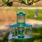 Upgraded Caged Bird Feeders Squirrel-Proof, Flexible Adjustment of Grille Size - Image 6