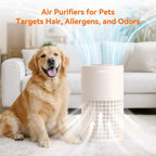 AIRROMI Air Purifier for Bedroom - Image 7