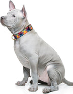 Reflective Dog Collar for Medium Dogs, Cute Boho Adjustable Heavy-Duty Nylon - Image 2