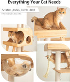 Wood Cat Tree for Large Cats, 62-Inch Tall Modern Cat Tower - Image 4