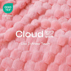Luciphia Soft 300GSM Fleece Pet Blanket - Image 2