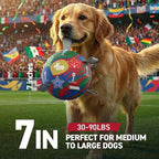 QDAN Dog Soccer Ball with Straps, 7 Inch World Cup Soccer Ball - Image 3