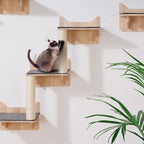 VEVOR Wall Mounted Cat Shelves and Perches - Image 8