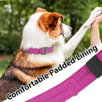 Tactical Dog Collar with Handle, Military Adjustable Heavy Duty Metal Buckle - Image 5