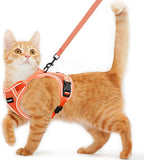 Cat Harness and Leash for Walking Escape Proof Soft Adjustable Cat Leash by Unknown