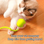 Automatic Interactive Rolling Cats Dog Toys Ball - Image 4