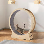 VEVOR Cat Exercise Wheel, Running Wheel - Image 8