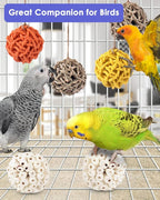 Bissap 6PCS Small Parrot Chew Toys, Sola Balls Conure Chewing Foraging Toys - Image 2