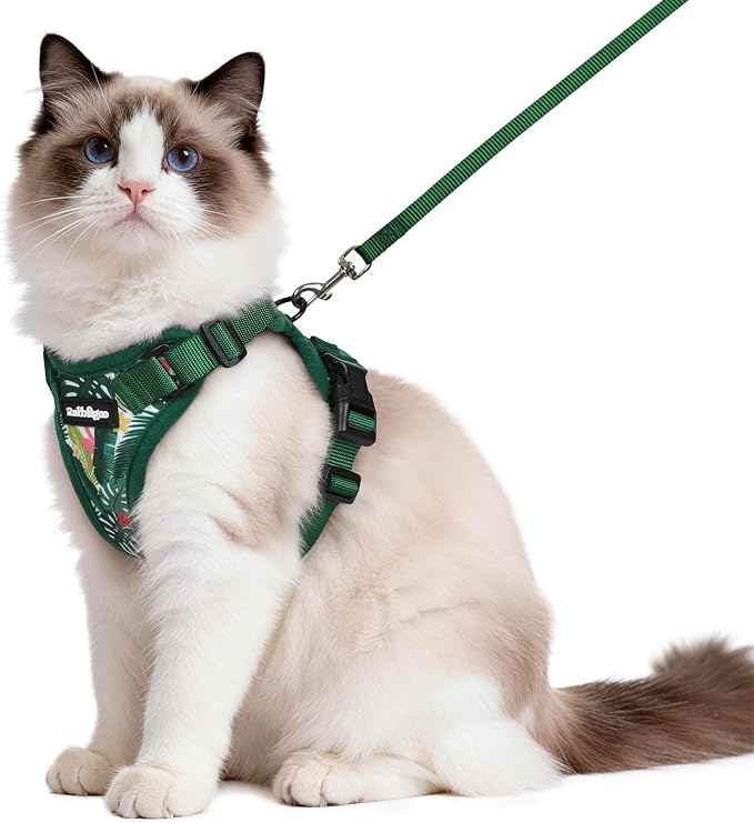 rabbitgoo Cat Harness and Leash by rabbitgoo