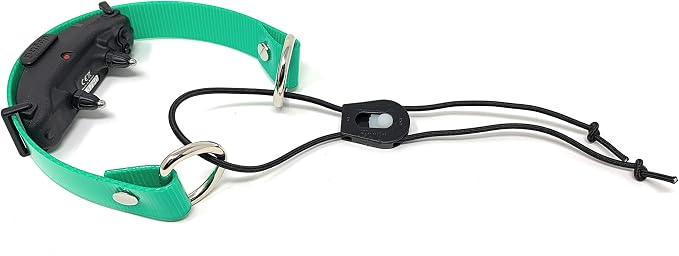 Sparky Pet Co - ECollar Replacement Strap - Bungee Dog Collar - Waterproof - by SparkyPetCo