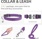 PUPTECK Adjustable Dog Harness Collar and Leash Set Step in No Pull Pet Harness - Image 4