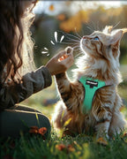 FAYOGOO Cat Harness & Leash Set, Escape Proof - Image 7