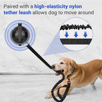Dog Bathing Suction Cup with Tether, High Elasticity Nylon Dog Bathing Tether - Image 5