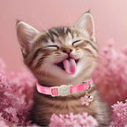 2 Pack Pink Cat Collars - Image 6