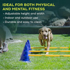 FitPAWS Ball Dynamics CanineGym Agility Kit - Image 4