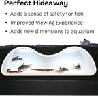 Aquarium Underground Tunnel Cave Natural Curve Two Hole | Viewing Fish & Shrimp - Image 4